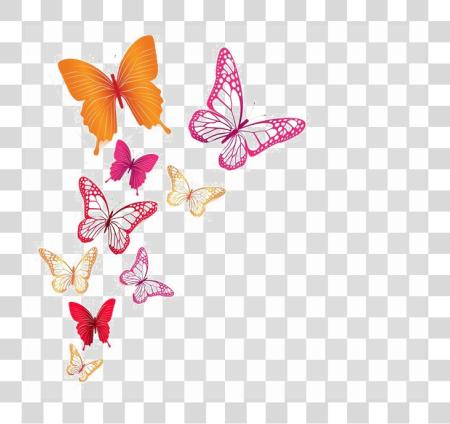 下载 Butterflies Image 背景 背景 多彩 蝴蝶 PNG file