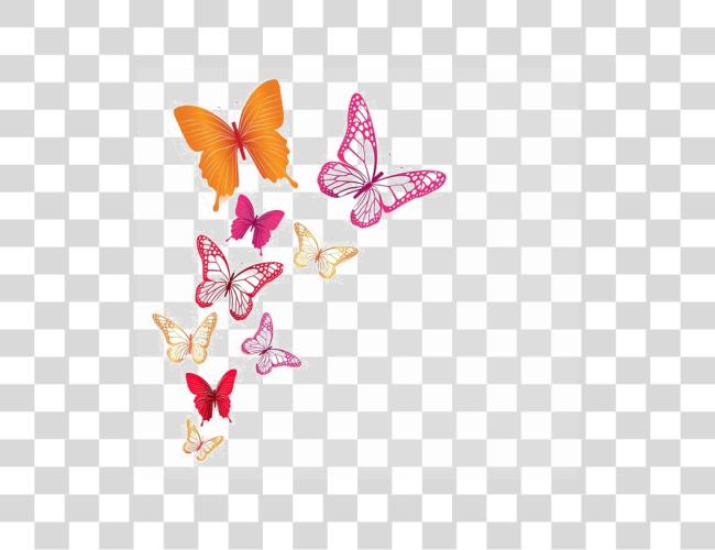 Download Butterflies Image fondo fondo colorido mariposa Clip arte