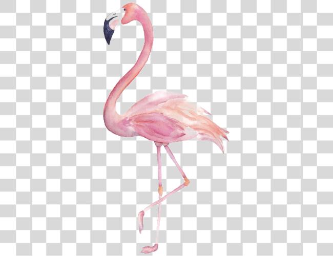 Download Flamingo Watercolor Clip Art