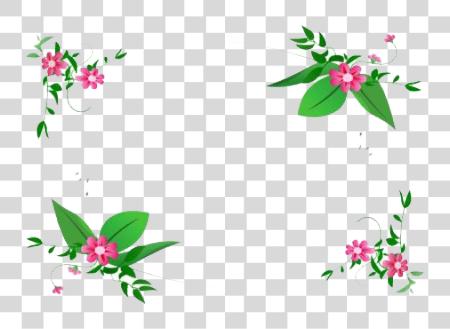 下载 Flowers Borders 花 Border 設計 PNG file