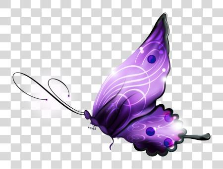 Download mariposa D y Sharecg vista Larger mariposa 3d PNG file