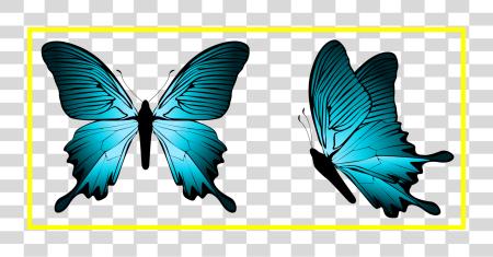 下载 Best 蓝色 蝴蝶 Image Butterflies Dragonflies 蓝色 蝴蝶 PNG file