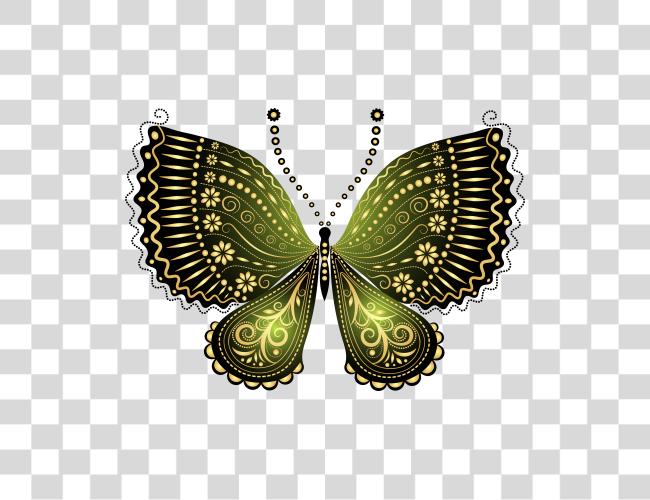 Download hermoso verde Decorative mariposa Image hermoso mariposa Clip arte