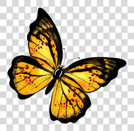 Download Yellow Butterfly PNG file