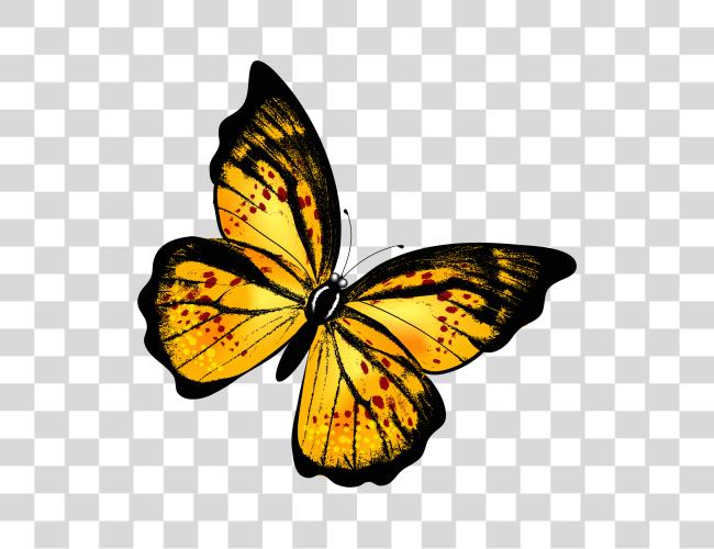 Download Yellow Butterfly Clip Art