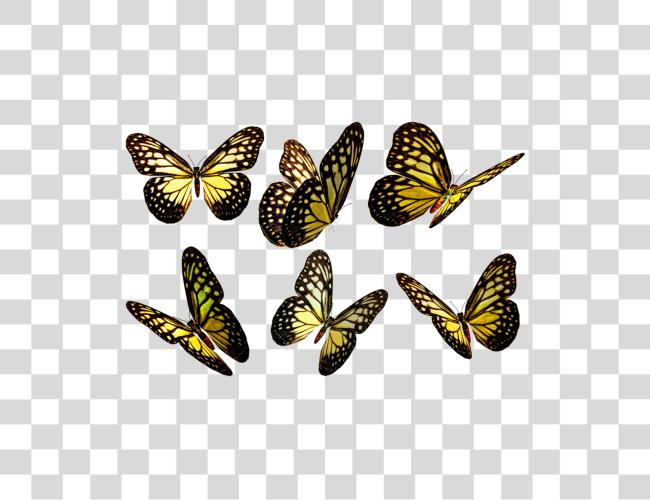 Download Butterflies Yellow Butterflies Clip Art