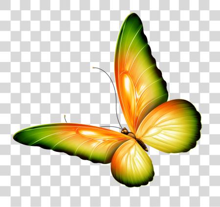 下载 Flowers 和 Butterflies Border 蝴蝶 與 PNG file