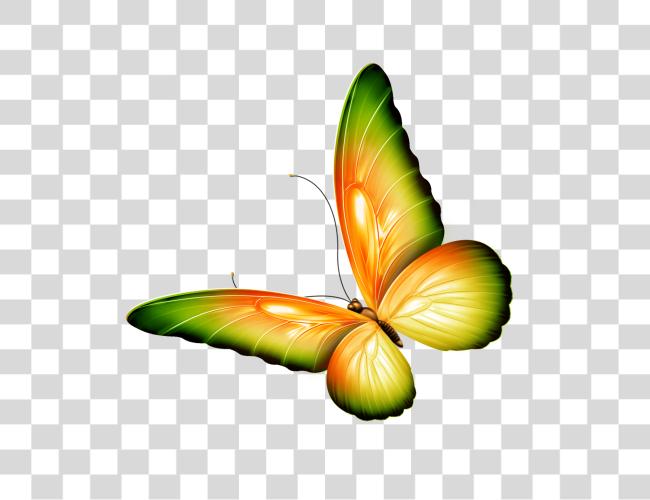 Download flores y Butterflies Border mariposa con Clip arte