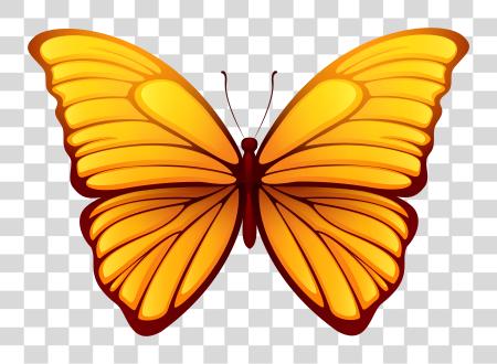 Download mariposa Picture mariposa PNG file