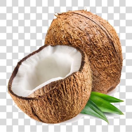 下载 Coconut Photo Coconut PNG file