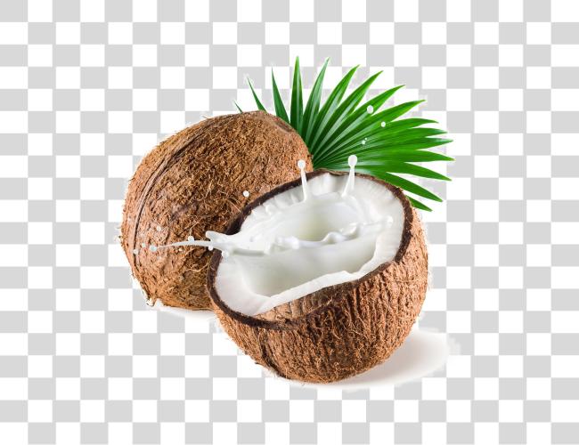 Download Coconut Image fondo Coconut con leche Clip arte