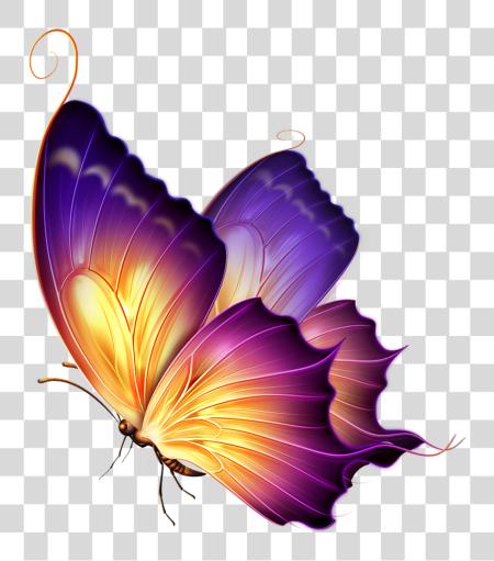 Download Editing Butterfly Butterfly For Editing PNG file