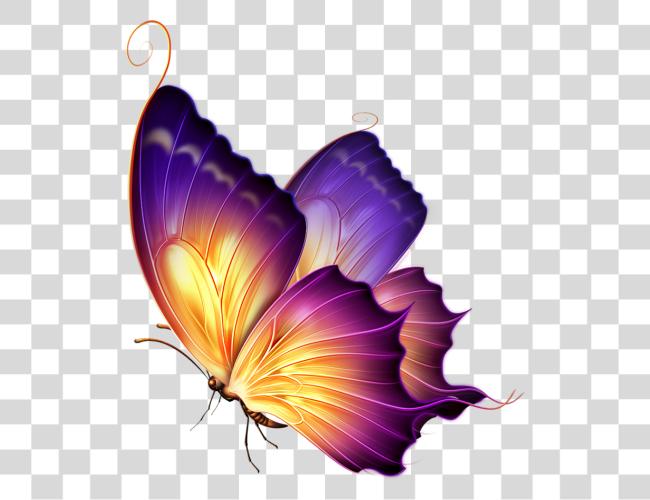 Download Editing Butterfly Butterfly For Editing Clip Art