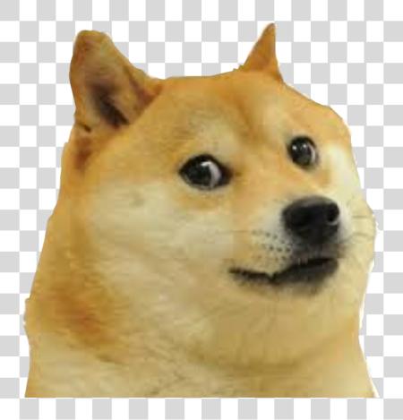 Download Mlg Doge Meme perro cara PNG file