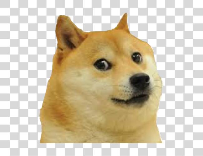 下载 Mlg Doge Meme 狗 脸 Clip 艺术