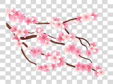 تحميل Cherry Blossom Cherry Blossom بي ان جي ملف