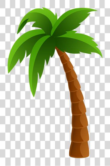 下载 Palm Tree PNG file