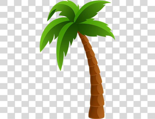 Download Palm Tree Clip arte