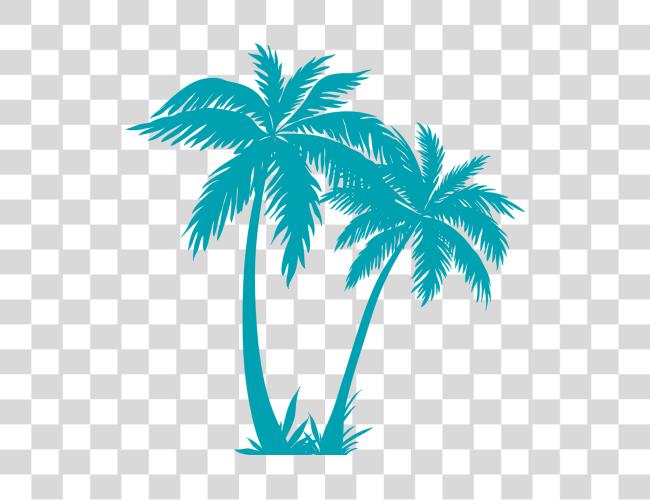 下载 Palm Tree Plan Palm Tree 矢量 Clip 艺术