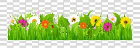 下载 Grass 和 Flowers Grass 與 花 Border PNG file