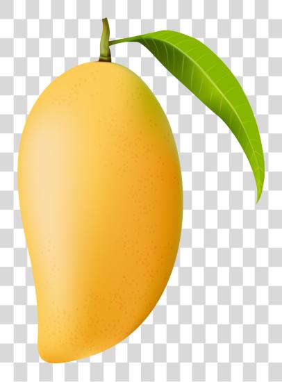 下载 Mango Mango PNG file