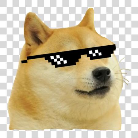 Download Doge Meme Thug Life Dog PNG file