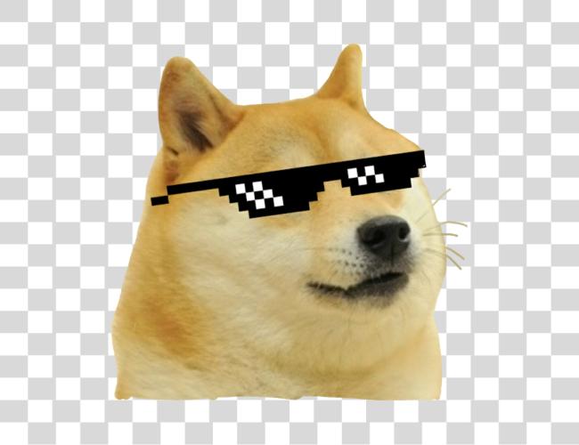 下载 Doge Meme Thug Life 狗 Clip 艺术