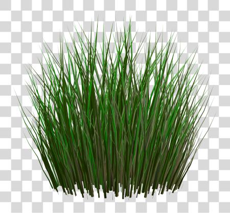 下载 Grass Image 绿色 Grass Picture Unity Grass Texture PNG file