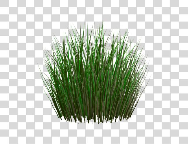 下载 Grass Image 绿色 Grass Picture 團結 Grass Texture Clip 艺术