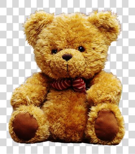 Download Teddy Bear Teddy Bear PNG file