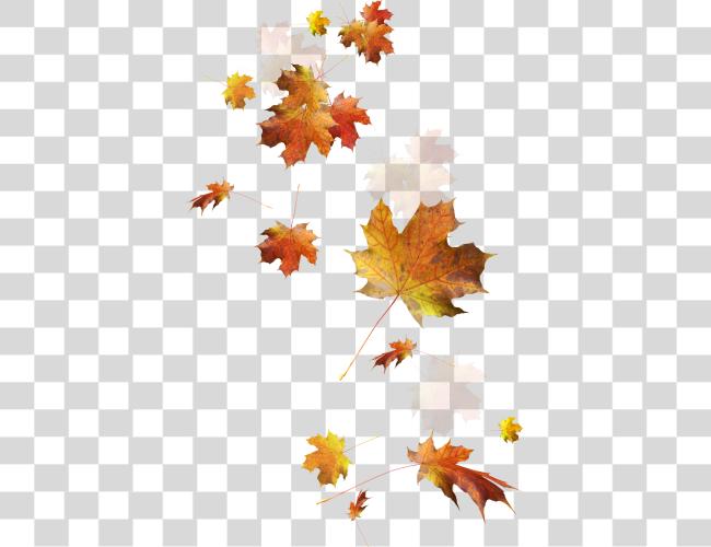 Download Fall Leaves Falling Fall Leaves Clip Art