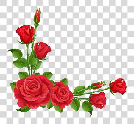 Download rojo rosas Frames Pinterest flor rosa Border diseño PNG file