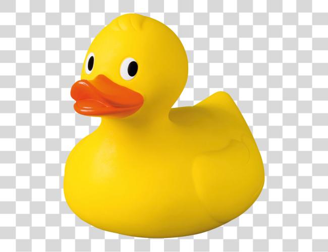 Download Rubber Duck Rubber Duck Clip Art