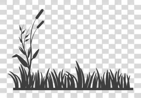 Download Grass vector silueta Grass negro y blanco PNG file