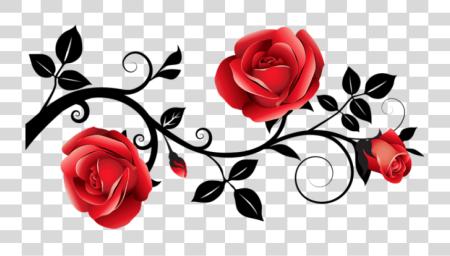 Download Red And Black Decorative Roses Red And Black Rose PNG file