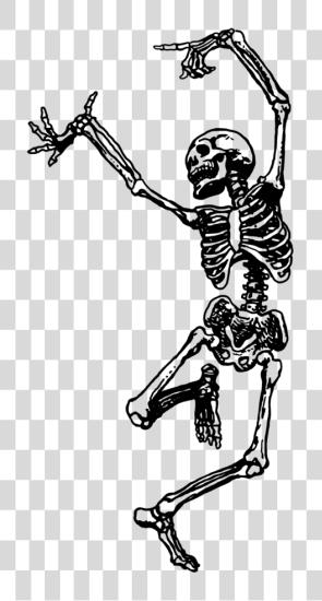 Download Skeleton Tumblr Dancing Skeleton PNG file