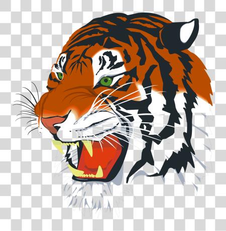 Download Tiger Tiger cabeza PNG file