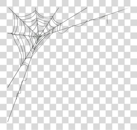 Download Spider Web Corner Image Spider Web Corner PNG file