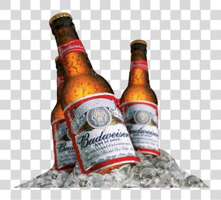 Download Budweiserlogo Budweiser botella PNG file