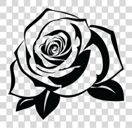 下载 Rose Tattoo Pic Rose Stencil PNG file