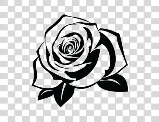 Download Rose Tattoo Pic Rose Stencil Clip Art