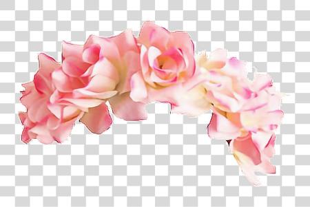 Download flor corona Headband Pink flor corona PNG file