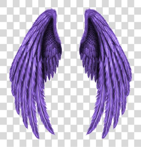 Download Silver Angel Wings Drawing PNG file