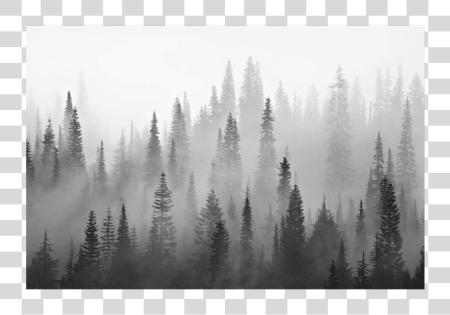 Download Fog Forest Wallpaper Mural PNG file