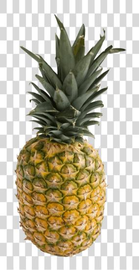 下载 Pineapple Pineapple PNG file