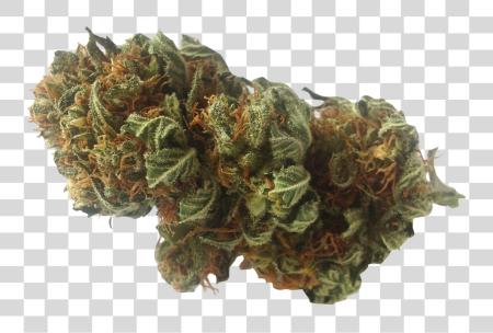 下载 Weed Nugget PNG file