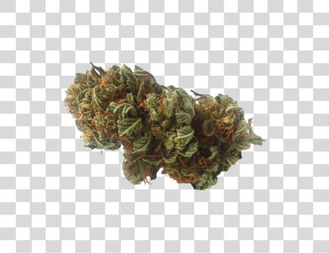 Download Weed Nugget Clip Art