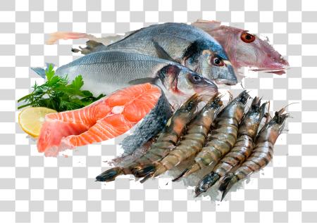 Download Fish Fish Seafood PNG file