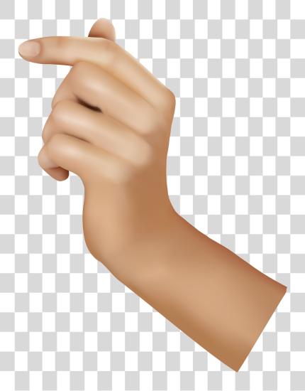 Download Human Hand Image Human Hand Hands PNG file