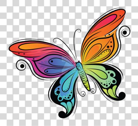 Download Colorful Butterfly Butterfly Colorful PNG file